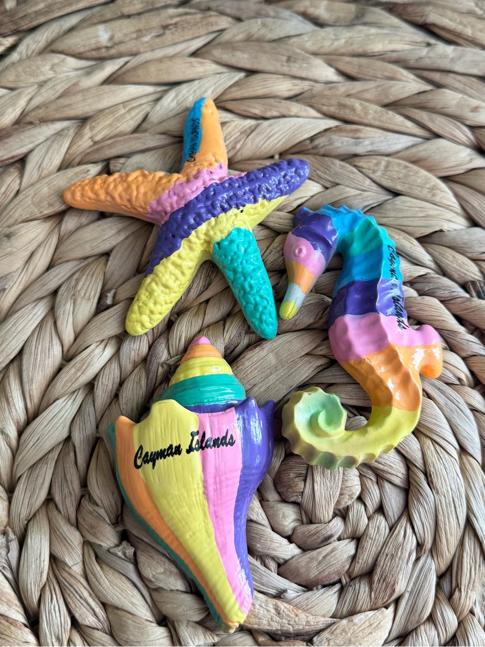 Vintage Rainbow Cayman Islands Fridge Magnets - 90s Fridge Magents